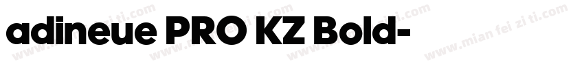 adineue PRO KZ Bold字体转换